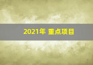 2021年 重点项目